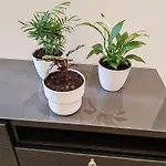 L'ideale Josephine Apartman Le Mans